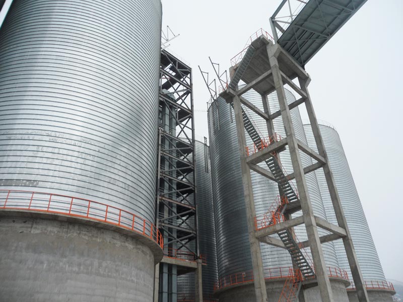 Flat bottom steel silo for industrial powder storage